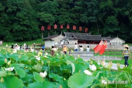 龍巖市古田旅游區關于規范景區參觀游覽管理的通告