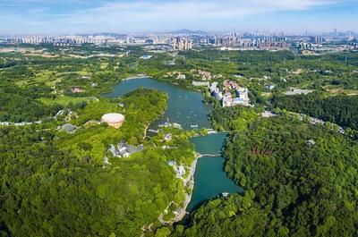 草地露營(yíng)、國(guó)潮音樂(lè)節(jié)、少兒音樂(lè)匯 南京珍珠泉度假區(qū)假期精彩紛呈，盡顯卓越園區(qū)管理服務(wù)